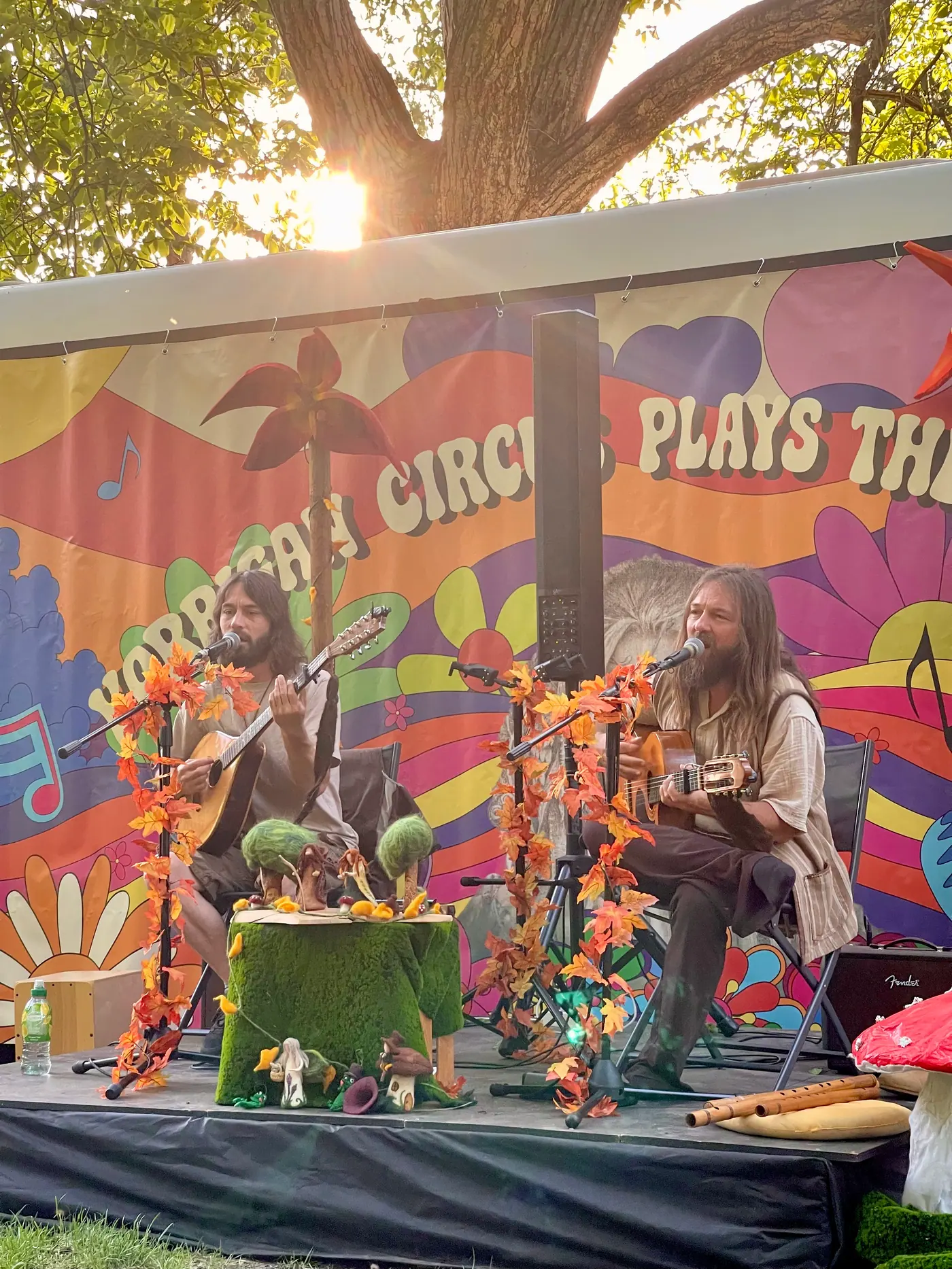Concert sur la terrasse du café